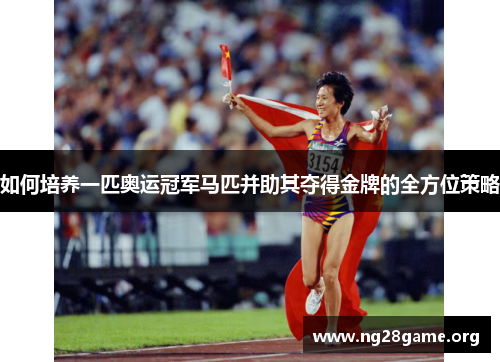 如何培养一匹奥运冠军马匹并助其夺得金牌的全方位策略