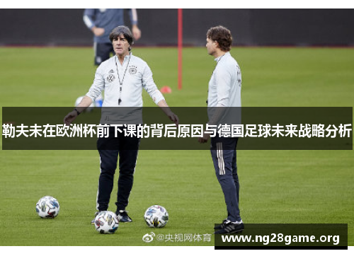 勒夫未在欧洲杯前下课的背后原因与德国足球未来战略分析