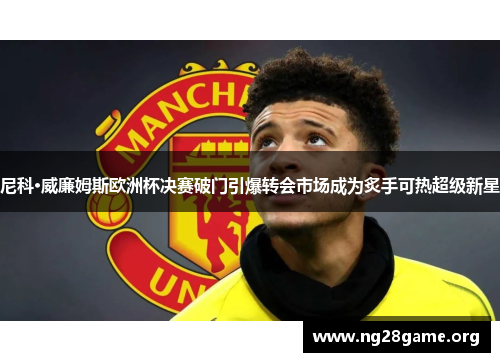 尼科·威廉姆斯欧洲杯决赛破门引爆转会市场成为炙手可热超级新星 尼科·威廉姆斯欧洲杯决赛破门引爆转会市场成为炙手可热超级新星