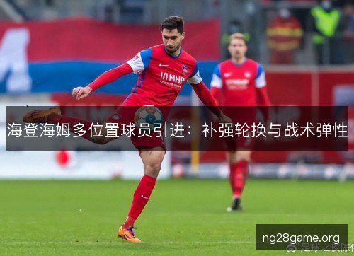 海登海姆多位置球员引进：补强轮换与战术弹性